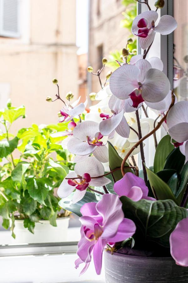Hotel Le Flore Frejus Luaran gambar